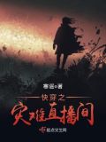 快穿灾难直播系统