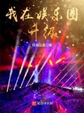 娱乐圈升级流小说