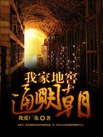 我家地窖通明末
