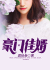 豪门佳婿 小说