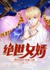 绝世女婿电视剧
