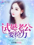 试婚老公,要给力小说免费阅读