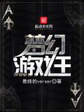 梦幻游戏王小说2