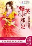 爆笑王妃:王爷不好惹