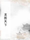 龙图天下