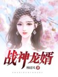 战神龙婿短剧在线观看