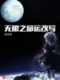命运无限纪录,小说