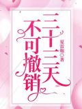 三十三天,不可撤销 夏雷炮
