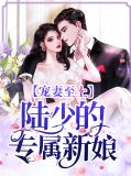 宠妻陆少的心尖宠小说免费
