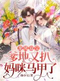 龙凤双宝:爹地,妈咪马甲掉了免费阅读