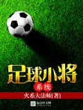 足球小将系统文