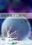 做厨师真开心啊[综]